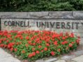 Memo to Jane Doe: Cornell health documents promote sexual debauchery